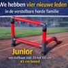 Verstelbare horde JUNIOR 1